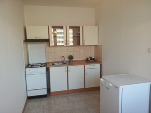 Rent of unfurnished apartment 1 + 1 / L (41…